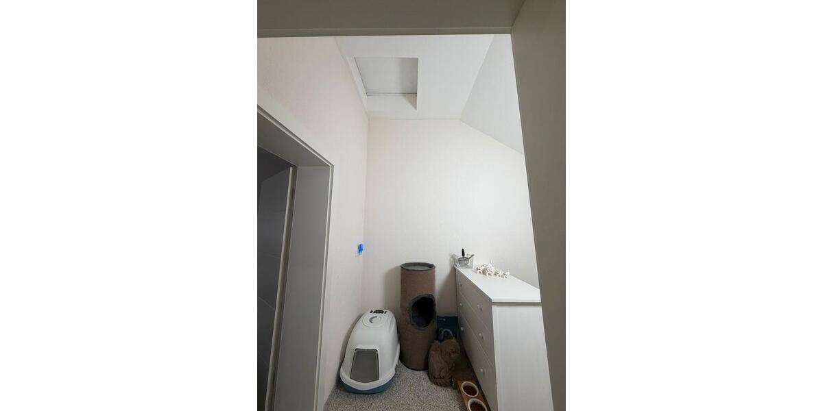 Reihenhaus Gladbeck Alt-Rentfort - 4 Zimmer, 64 m&sup2;, 1.920&euro; | Angebot:26283578