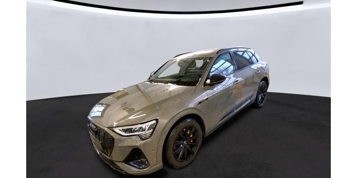 Audi e-tron 111.330 km 34.390 &euro; Hagen 58091