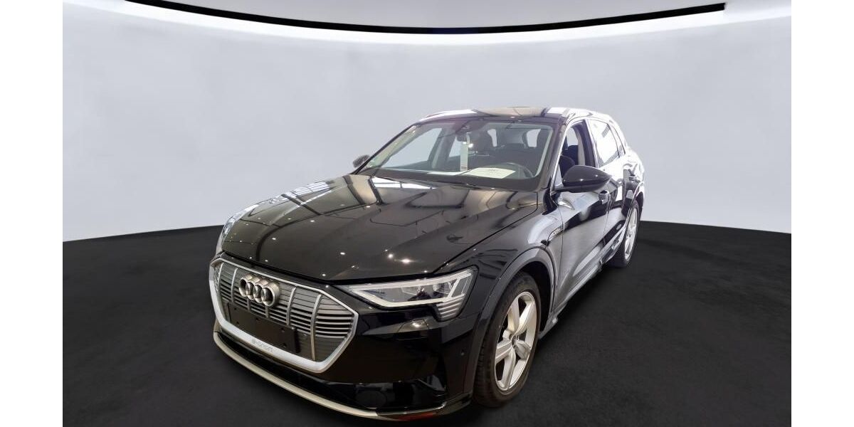 Audi e-tron 73.893 km 29.687 &euro; Hagen 58091
