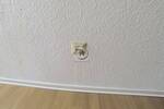 Etagenwohnung Hagen Ischeland - 2 Zimmer, 50 m&sup2;, 365&euro; | Angebot:25671096