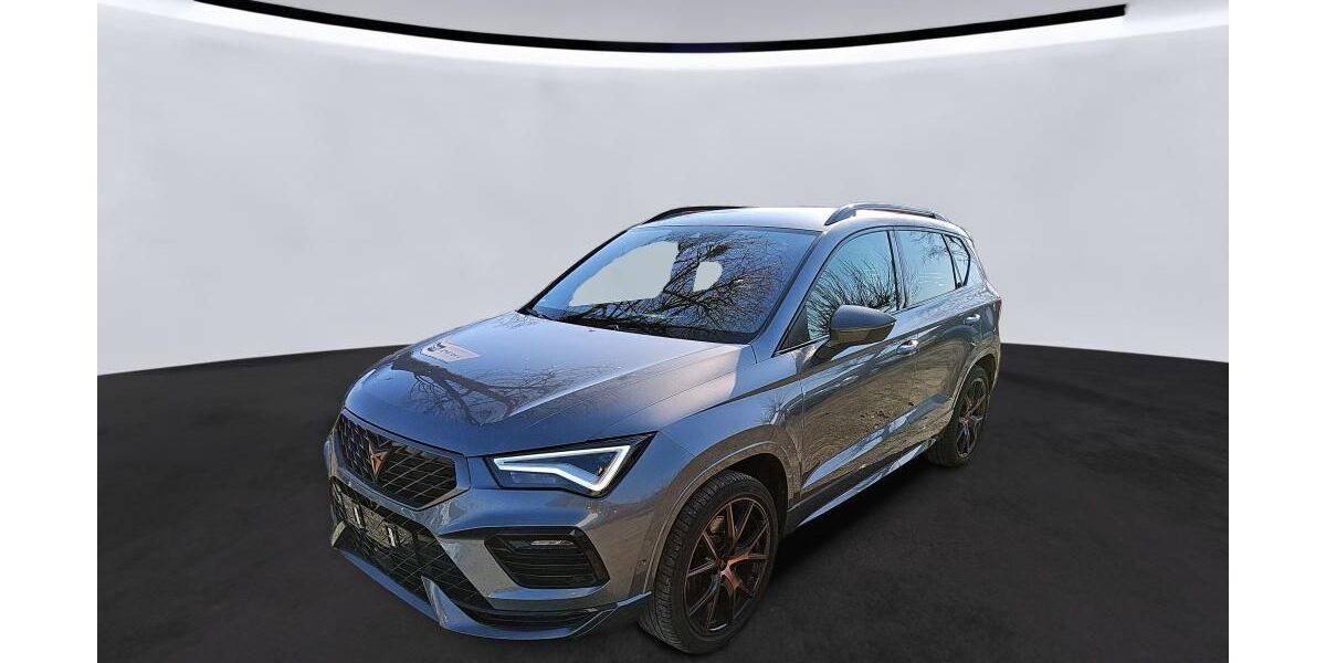 Cupra Ateca 74.113 km 29.145 &euro; Hagen 58091