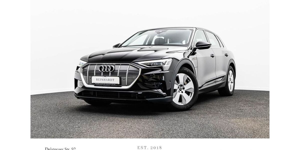 Audi e-tron 38.423 km 31.140 &euro; Hagen 58091
