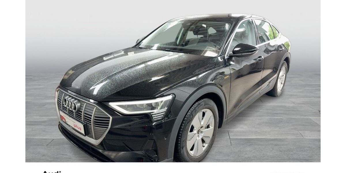 Audi e-tron 29.255 km 29.288 &euro; Dortmund 44143