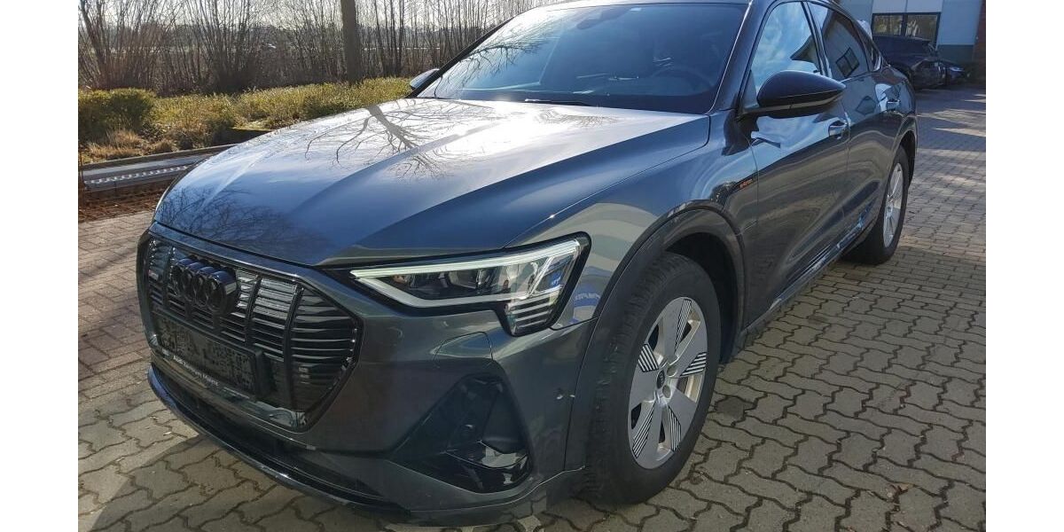Audi e-tron 71.112 km 32.873 &euro; Hagen 58091