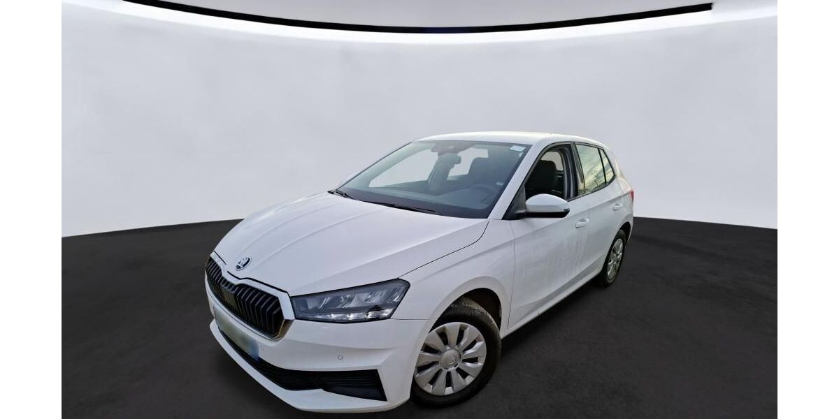 Skoda Fabia 49.999 km 11.425 &euro; Hagen 58091