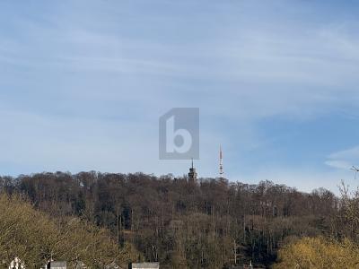 PERFEKTE WOHNLAGE UND UNVERBAUBARE FERNSICHT - Grundstück Velbert Langenberg | Angebot:27326768