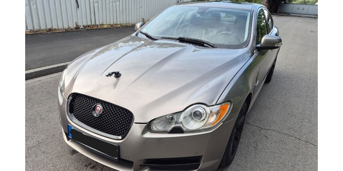 Jaguar XF 186.564 km 6.350 &euro; Dortmund 44147