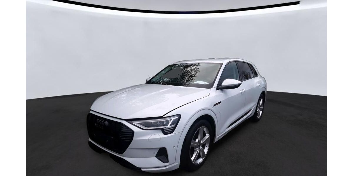 Audi e-tron 26.195 km 29.540 &euro; Hagen 58091