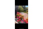 Reihenhaus Solingen - 7 Zimmer, 163 m&sup2;, 495.000&euro; | Angebot:27233569