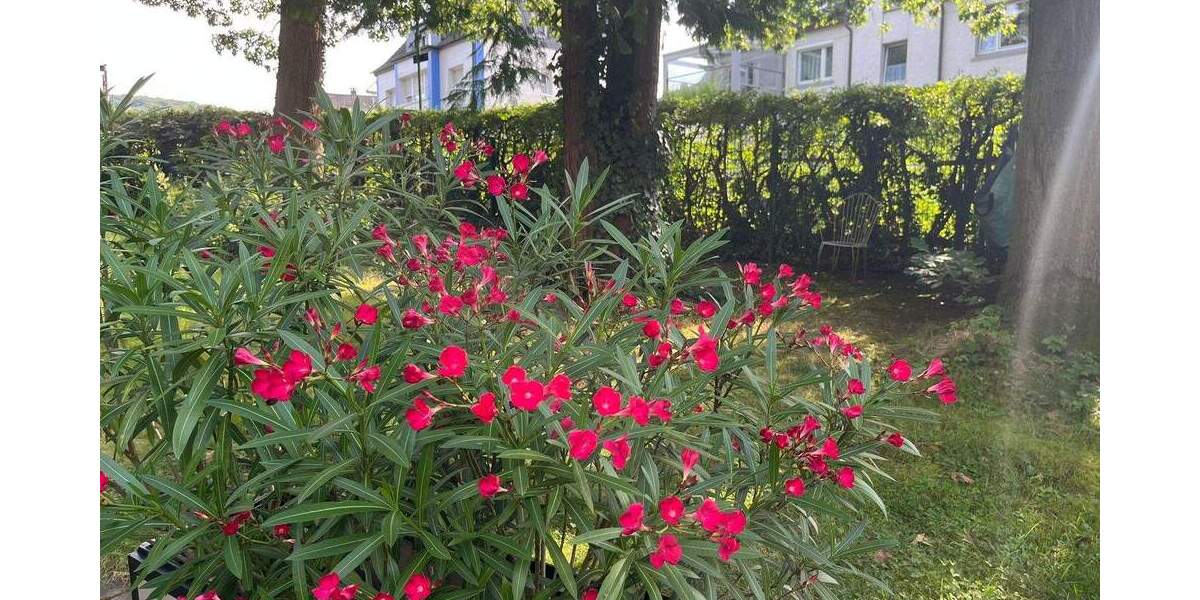 Grundstück Hagen Eilpe - 124.000&euro; | Angebot:25862769