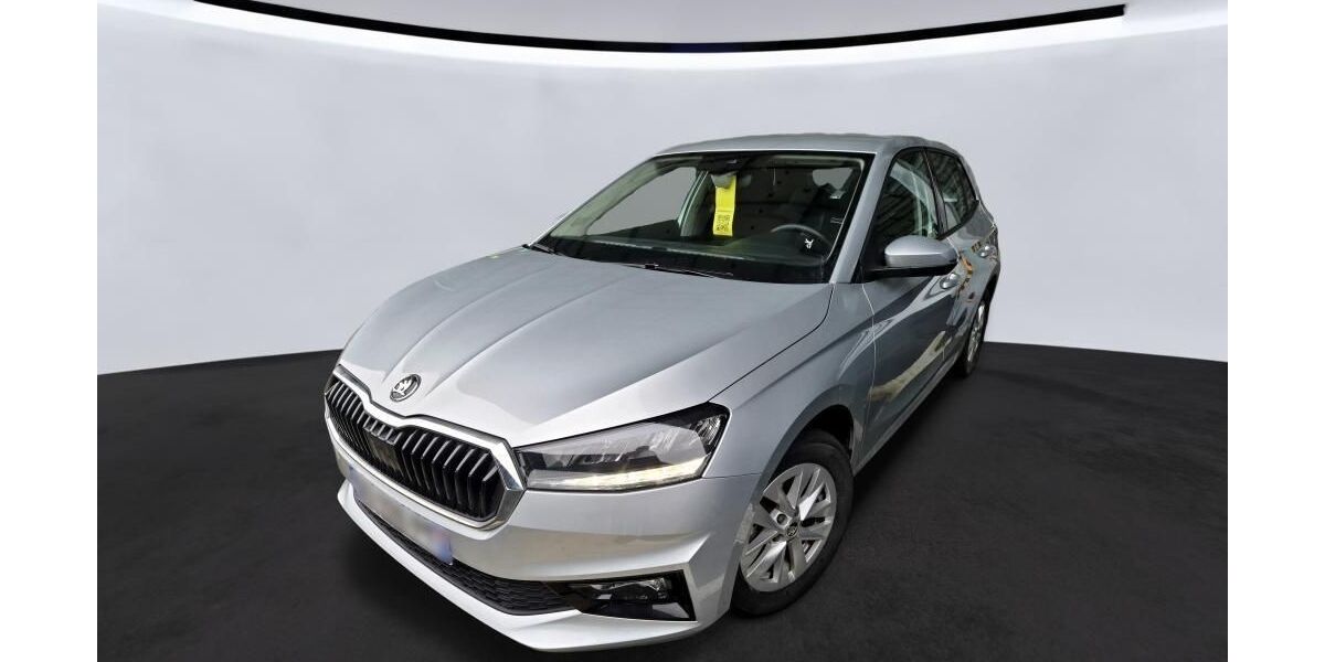 Skoda Fabia 29.142 km 13.575 &euro; Hagen 58091