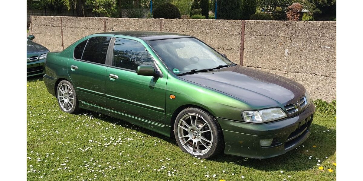 Nissan Primera 231.000 km 5.000 &euro; Duisburg 47198