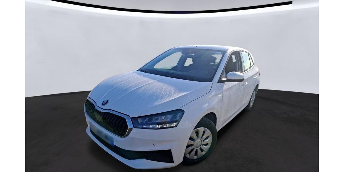 Skoda Fabia 46.624 km 11.425 &euro; Hagen 58091