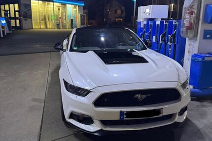 Ford Mustang 101.000 km 22.000 &euro; Haan 42781