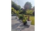Bungalow Radevormwald - 4 Zimmer, 115 m&sup2;, 649.000&euro; | Angebot:26755206