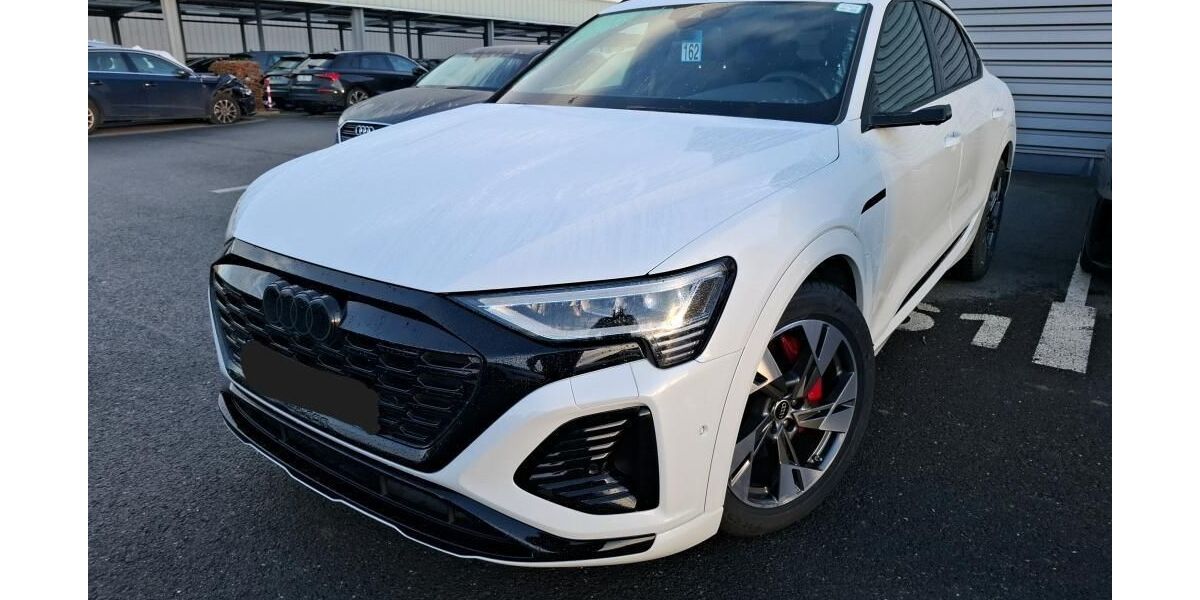 Audi Q8 e-tron 55.309 km 49.435 &euro; Hagen 58091