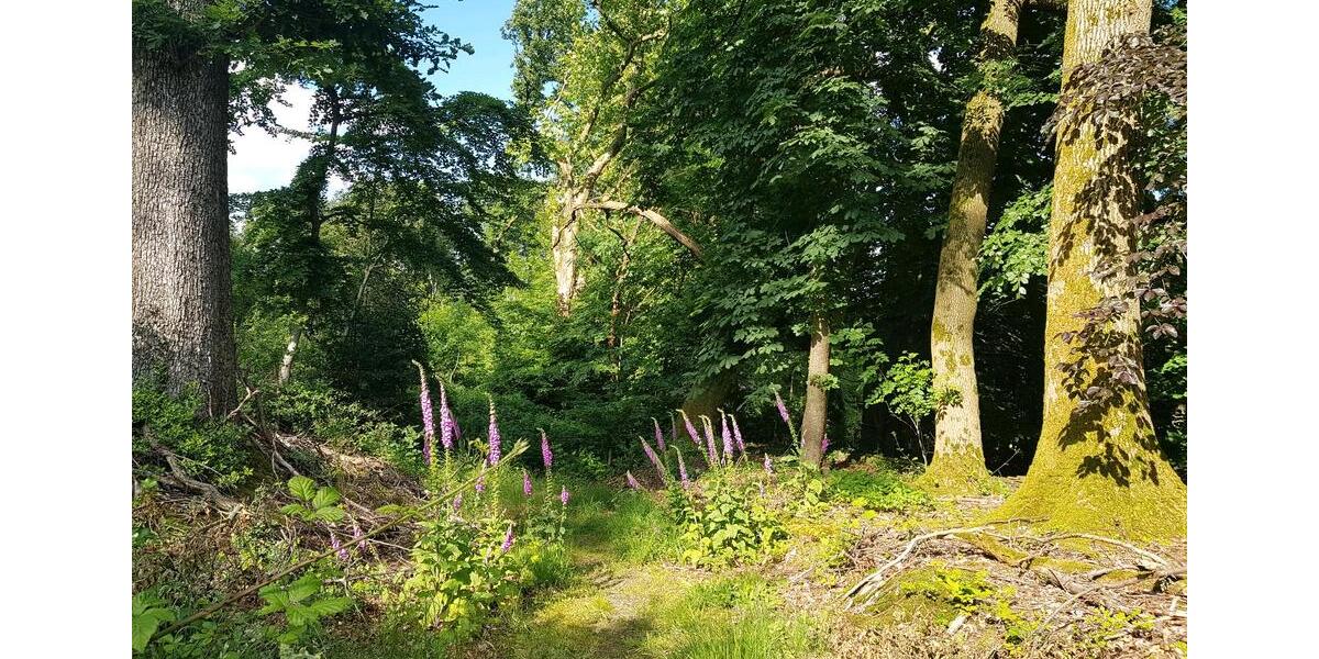 Einfamilienhaus Sprockhövel - 5 Zimmer, 120 m&sup2;, 580.000&euro; | Angebot:26323300