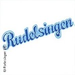 Das Düsseldorfer Rudelsingen im Kunstpalast