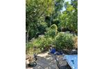 Einfamilienhaus Wuppertal Gemarkung Ronsdorf - 965.000&euro; | Angebot:27070650