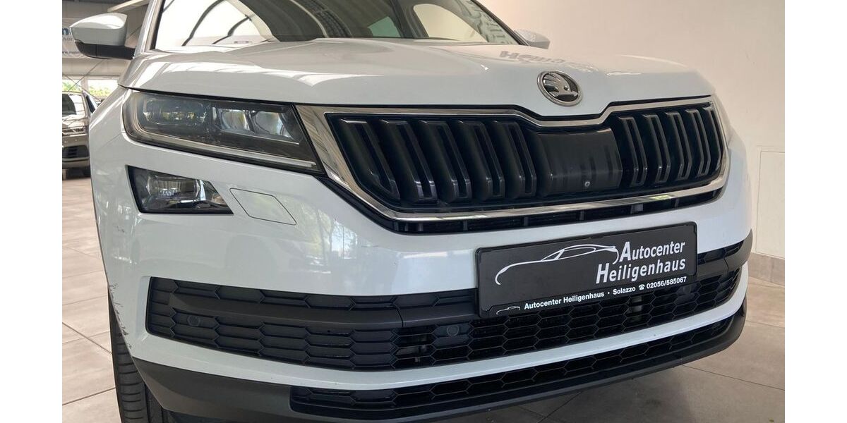 Skoda Kodiaq 172.858 km 19.980 &euro; Heiligenhaus 42579