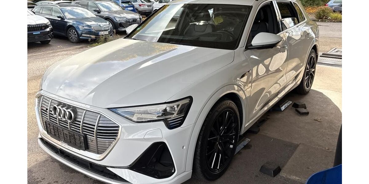 Audi e-tron 69.511 km 34.765 &euro; Hagen 58091