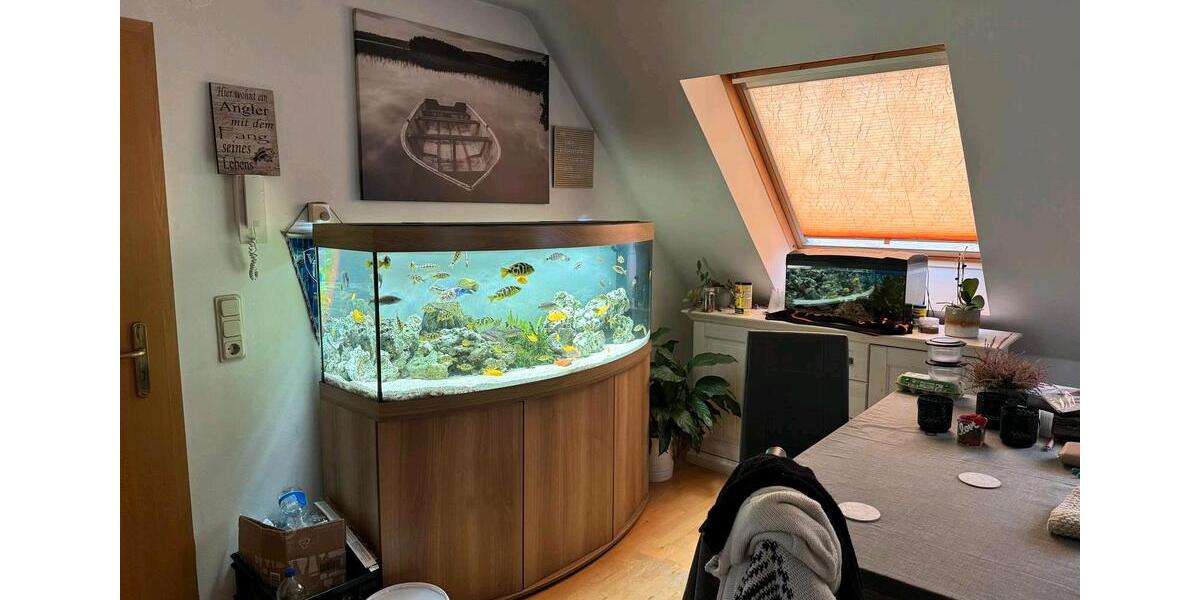 Maisonettenwohnung Bochum Bochum-Ost - 3 Zimmer, 85 m&sup2;, 750&euro; | Angebot:27621917