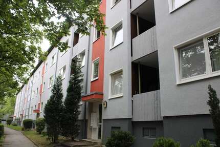 Wohnung Witten Annen - 2 Zimmer, 65 m&sup2;, 349&euro; | Angebot:26196543