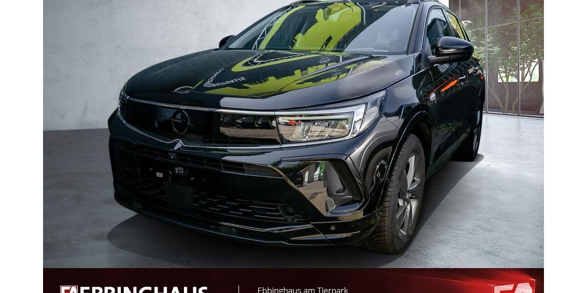 Opel Grandland (X) 29.771 km 26.449 &euro; Dortmund 44225