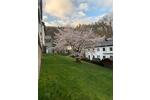 Etagenwohnung Hagen Hohenlimburg - 2 Zimmer, 55 m&sup2;, 395&euro; | Angebot:26083835