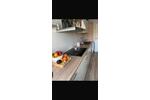 Etagenwohnung Bochum Höntrop - 3.5 Zimmer, 72 m&sup2;, 155.000&euro; | Angebot:27133710