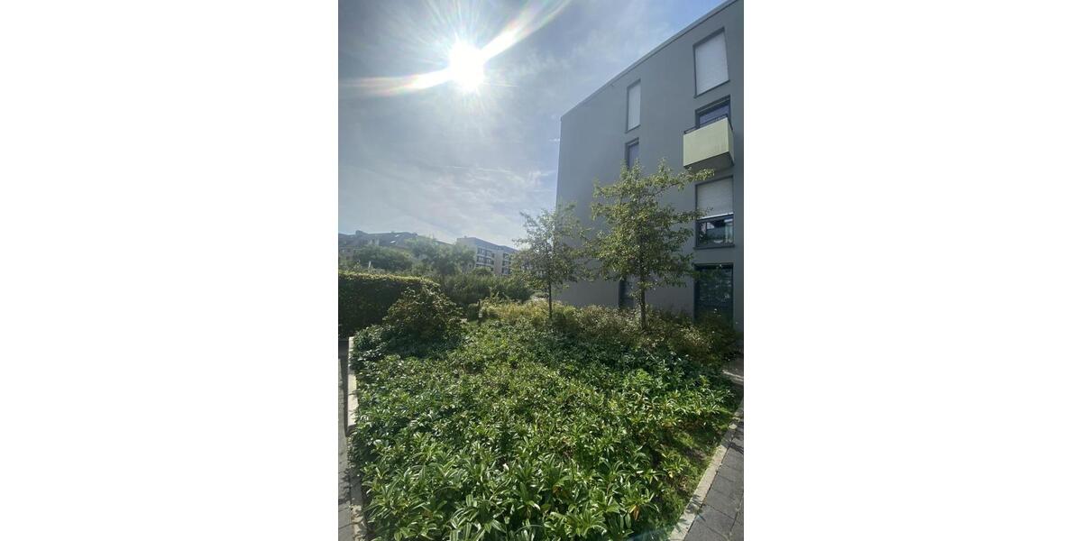 Etagenwohnung Essen Stadtkern - 2.5 Zimmer, 65 m&sup2;, 808&euro; | Angebot:26079941