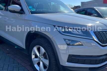 Skoda Kodiaq 225.000 km 17.500 &euro; Castrop Rauxel 44579