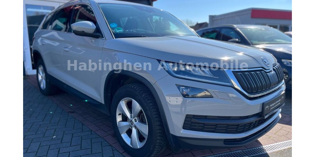 Skoda Kodiaq 225.000 km 17.500 &euro; Castrop Rauxel 44579