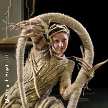 Wir Tiere 29.04.2026 Kinder- und Jugendtheater (KJT)