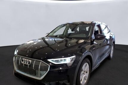 Audi e-tron 44.166 km 30.340 &euro; Hagen 58091