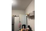 Erdgeschoßwohnung Essen Stadtbezirk VII - 4 Zimmer, 64 m&sup2;, 370&euro; | Angebot:26361256