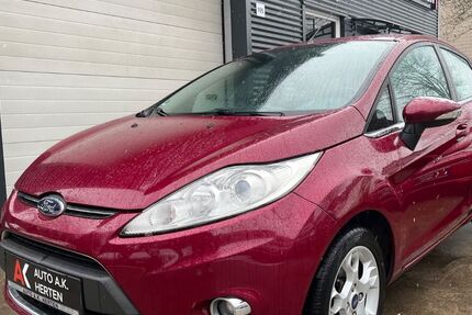 Ford Fiesta 129.900 km 4.790 &euro; Herten 45699