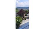 Mehrfamilienhaus, Wohnhaus Hagen Hagen-Nord - 699.000&euro; | Angebot:23761408