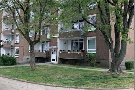 Wohnung Essen Freisenbruch - 3.5 Zimmer, 74 m&sup2;, 599&euro; | Angebot:26393019