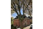 Etagenwohnung Hattingen - 2.5 Zimmer, 59 m&sup2;, 640&euro; | Angebot:26375179