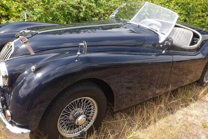 Jaguar XK 16.642 km 85.500 &euro; Mettmann 40822