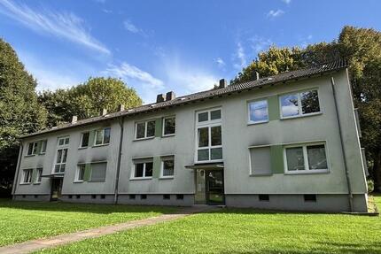 Wohnung Bochum Bochum-Nord - 3.5 Zimmer, 65 m&sup2;, 564&euro; | Angebot:26042961