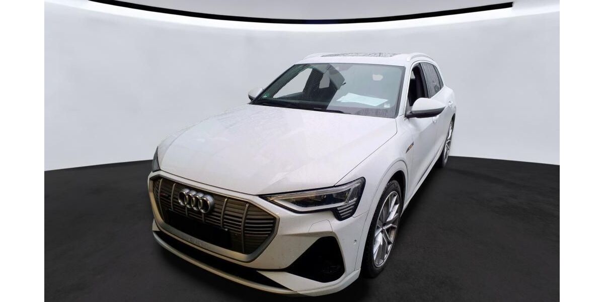 Audi e-tron 69.195 km 35.846 &euro; Hagen 58091