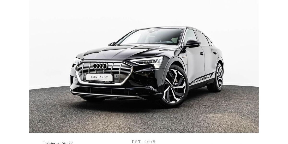 Audi e-tron 41.877 km 34.365 &euro; Hagen 58091