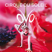 Komfort-Upgrade - Cirque du Soleil - OVO 06.02.2027 Rudolf Weber-ARENA