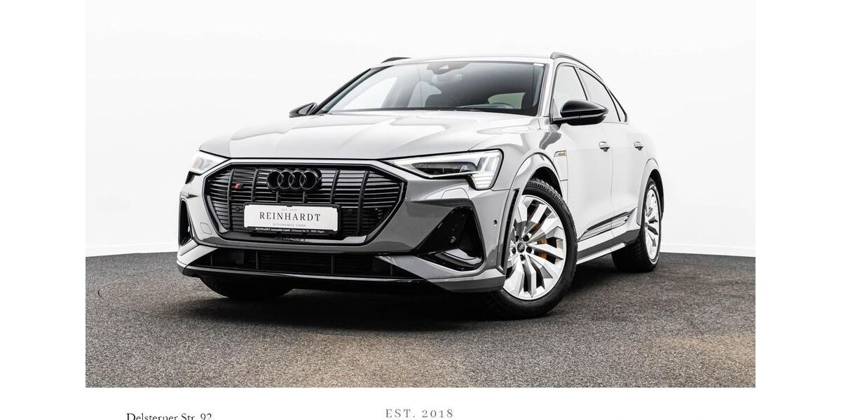 Audi e-tron 55.621 km 44.560 &euro; Hagen 58091