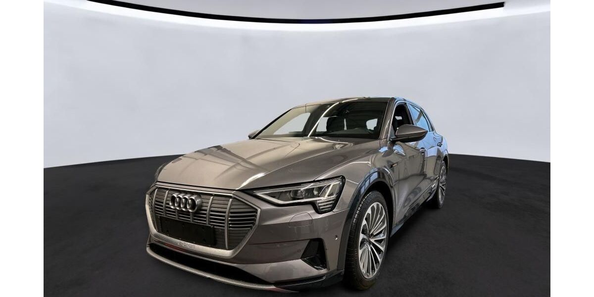 Audi e-tron 83.781 km 31.825 &euro; Hagen 58091