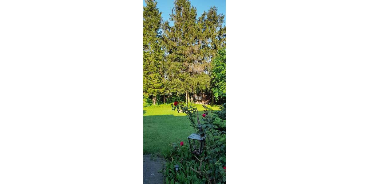 Erdgeschoßwohnung Recklinghausen Berghausen - 3 Zimmer, 70 m&sup2;, 695&euro; | Angebot:26335339
