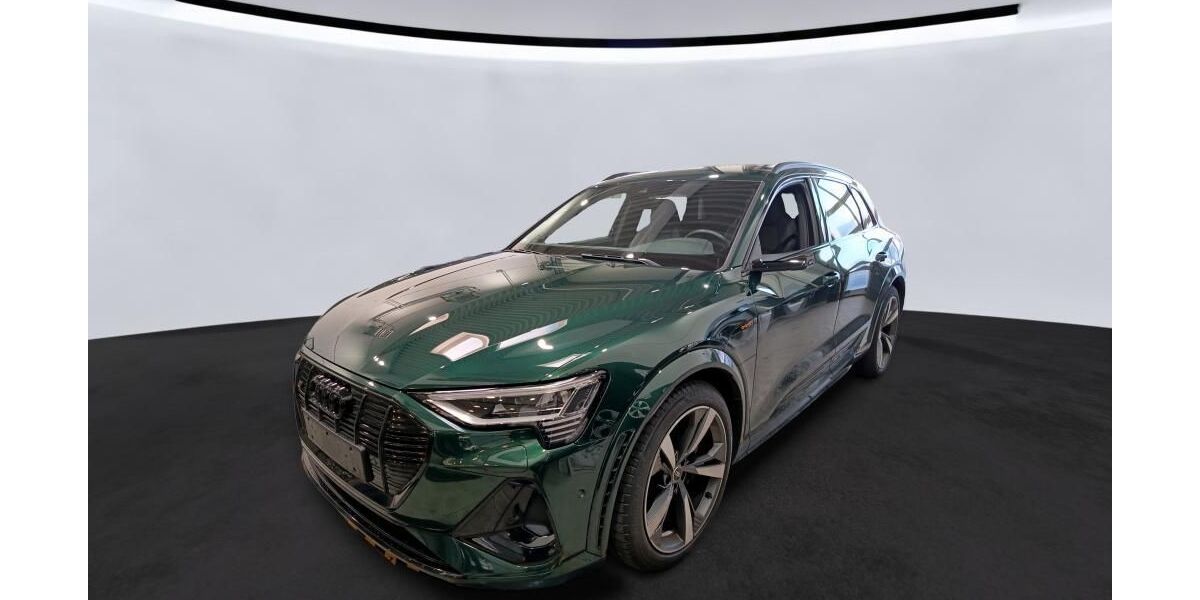 Audi e-tron 107.060 km 38.458 &euro; Hagen 58091