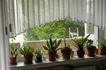 Etagenwohnung Schwerte - 2 Zimmer, 74 m&sup2;, 179.900&euro; | Angebot:27078462
